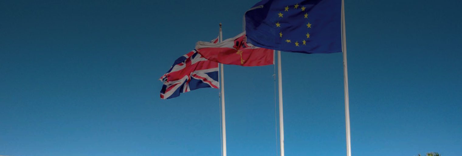 Image of EU Customs Status